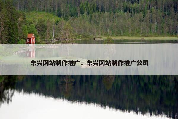 东兴网站制作推广，东兴网站制作推广公司