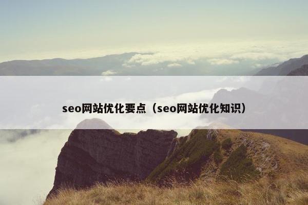seo网站优化要点（seo网站优化知识）