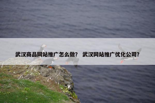 武汉商品网站推广怎么做？ 武汉网站推广优化公司？