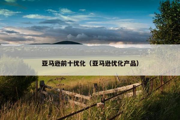 亚马逊前十优化（亚马逊优化产品）