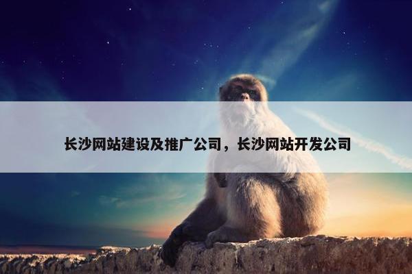 长沙网站建设及推广公司，长沙网站开发公司