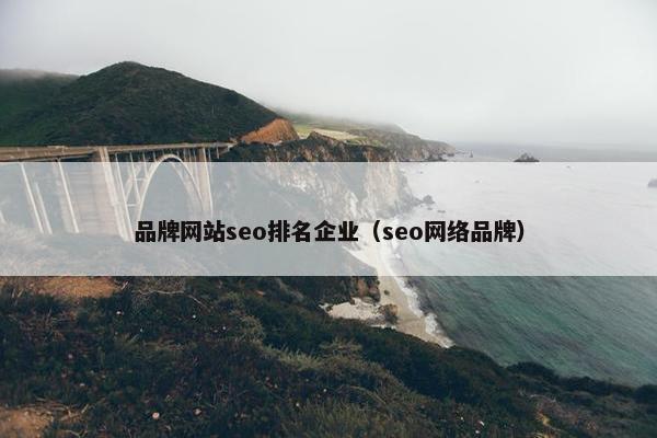 品牌网站seo排名企业（seo网络品牌）