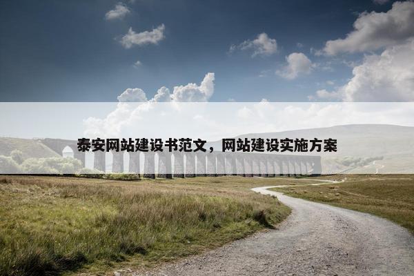 泰安网站建设书范文，网站建设实施方案
