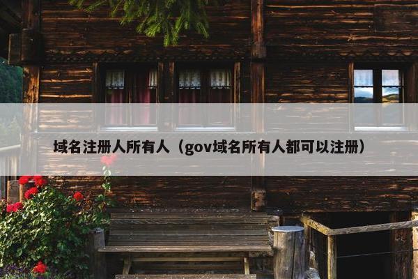 域名注册人所有人（gov域名所有人都可以注册）