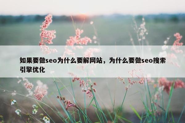如果要做seo为什么要解网站，为什么要做seo搜索引擎优化