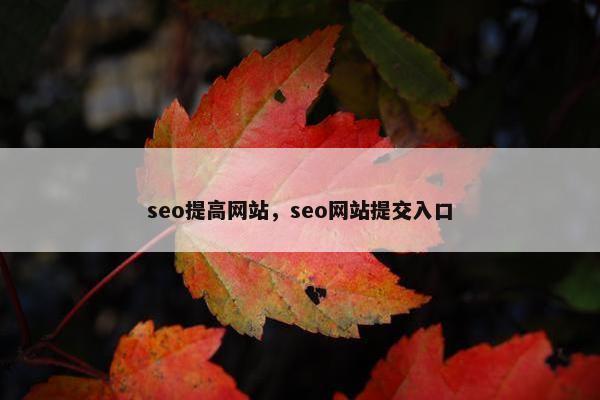 seo提高网站，seo网站提交入口