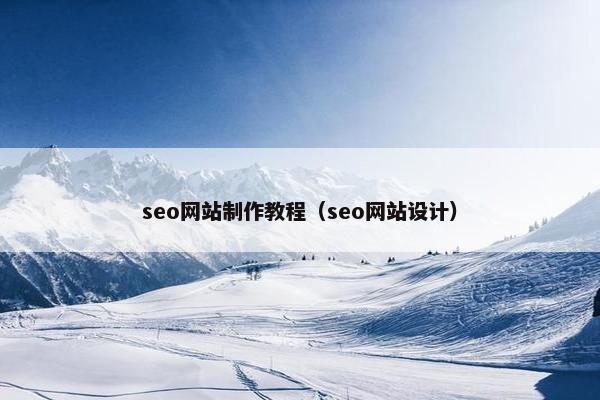 seo网站制作教程（seo网站设计）