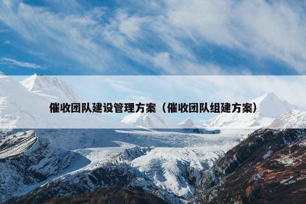 催收团队建设管理方案（催收团队组建方案）
