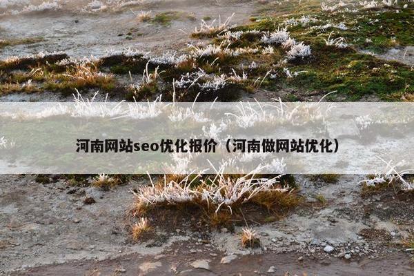 河南网站seo优化报价（河南做网站优化）