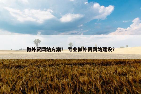 做外贸网站方案？ 专业做外贸网站建设？