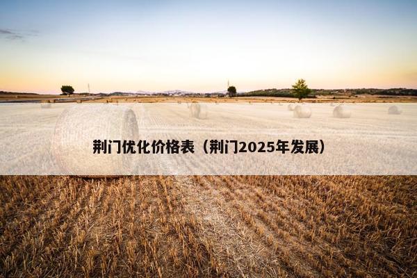 荆门优化价格表（荆门2025年发展）
