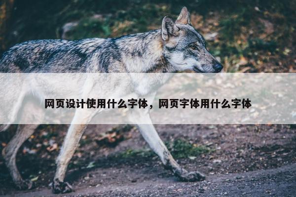 网页设计使用什么字体，网页字体用什么字体