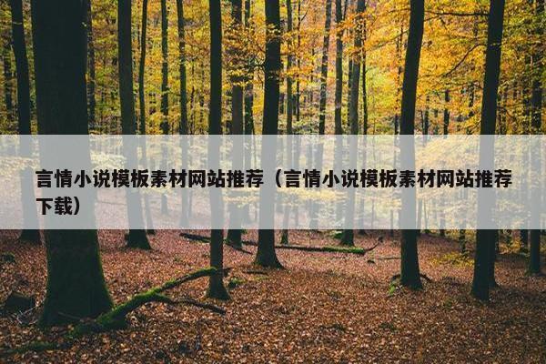 言情小说模板素材网站推荐（言情小说模板素材网站推荐下载）