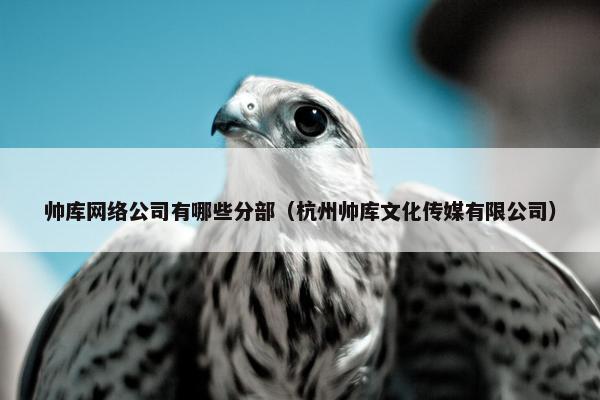 帅库网络公司有哪些分部（杭州帅库文化传媒有限公司）