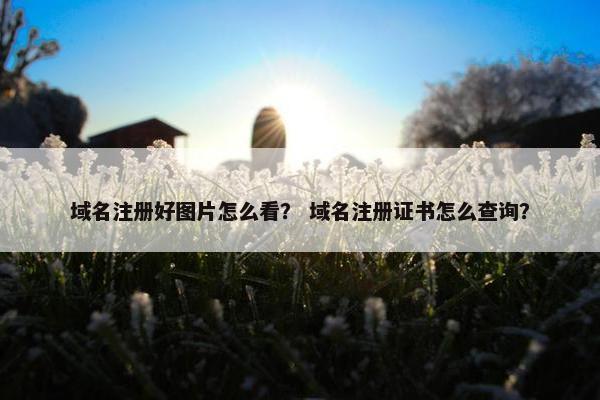域名注册好图片怎么看？ 域名注册证书怎么查询？