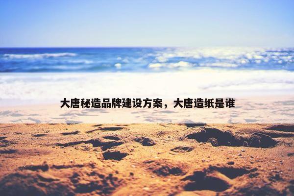 大唐秘造品牌建设方案，大唐造纸是谁