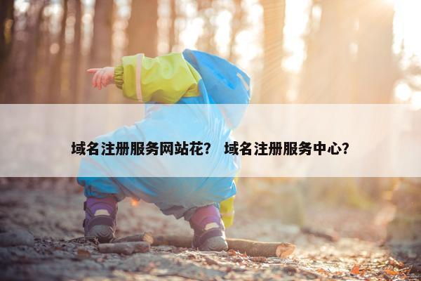 域名注册服务网站花？ 域名注册服务中心？