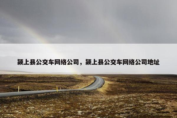 颍上县公交车网络公司，颍上县公交车网络公司地址