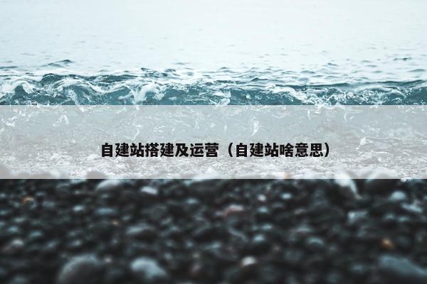 自建站搭建及运营（自建站啥意思）