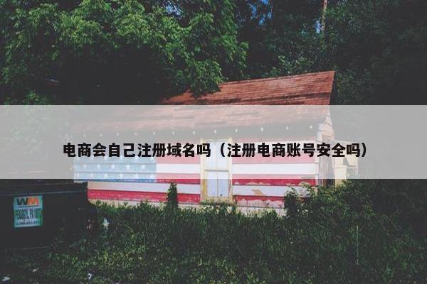 电商会自己注册域名吗（注册电商账号安全吗）