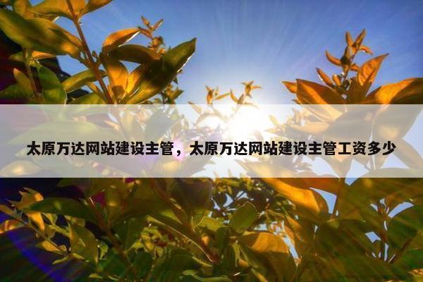 太原万达网站建设主管，太原万达网站建设主管工资多少