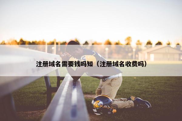 注册域名需要钱吗知（注册域名收费吗）