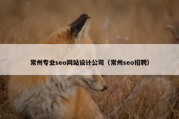 常州专业seo网站设计公司（常州seo招聘）