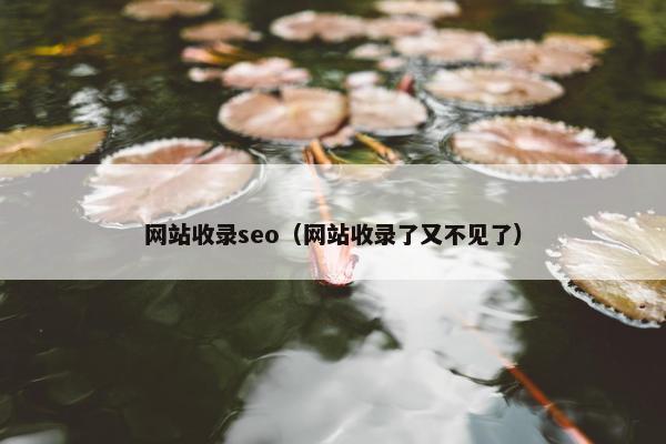 网站收录seo（网站收录了又不见了）