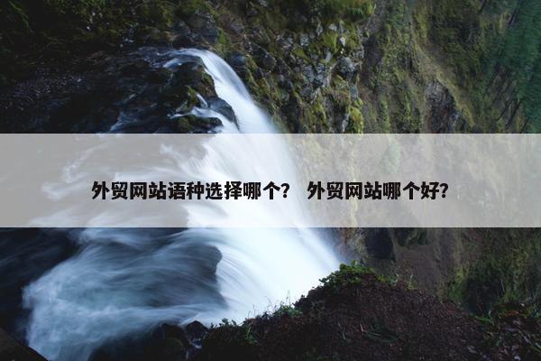 外贸网站语种选择哪个？ 外贸网站哪个好？