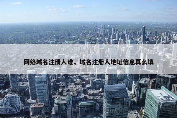 网络域名注册人谁，域名注册人地址信息真么填