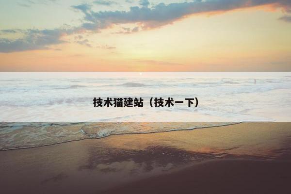 技术猫建站（技术一下）