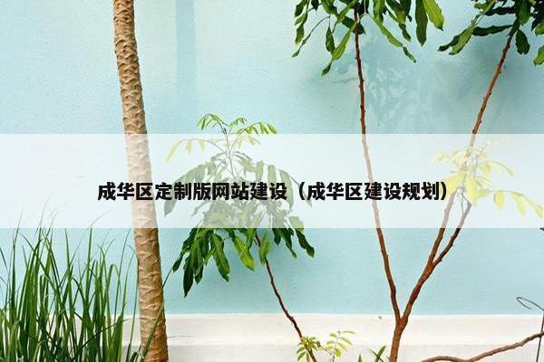 成华区定制版网站建设（成华区建设规划）