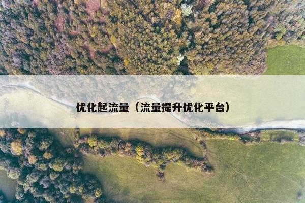 优化起流量（流量提升优化平台）