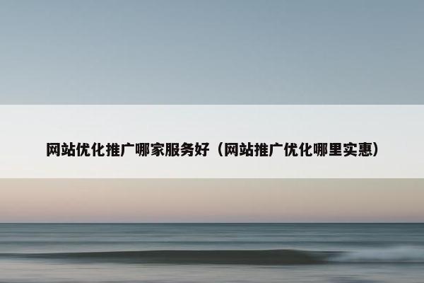 网站优化推广哪家服务好（网站推广优化哪里实惠）