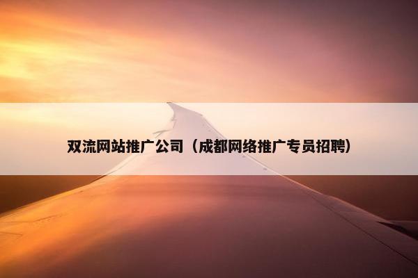 双流网站推广公司（成都网络推广专员招聘）