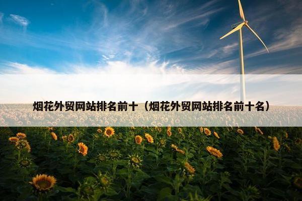 烟花外贸网站排名前十（烟花外贸网站排名前十名）