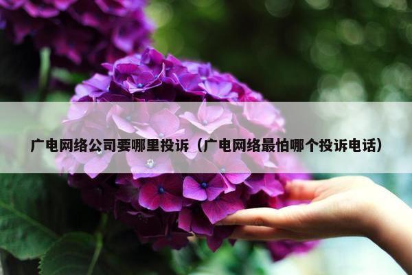 广电网络公司要哪里投诉（广电网络最怕哪个投诉电话）