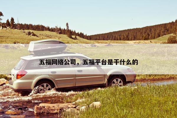 五福网络公司，五福平台是干什么的