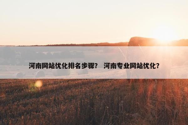 河南网站优化排名步骤？ 河南专业网站优化？