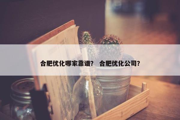 合肥优化哪家靠谱？ 合肥优化公司？