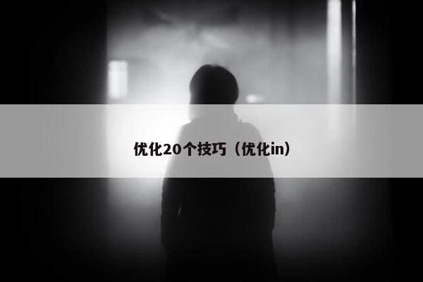 优化20个技巧（优化in）