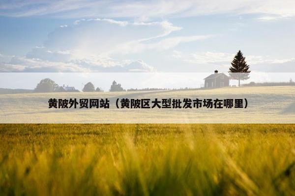 黄陂外贸网站（黄陂区大型批发市场在哪里）