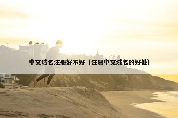 中文域名注册好不好（注册中文域名的好处）