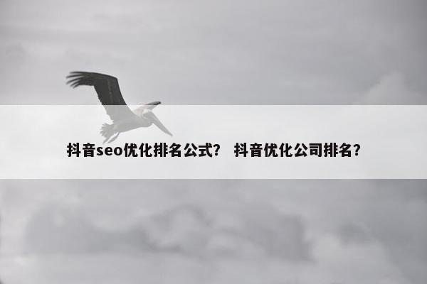 抖音seo优化排名公式？ 抖音优化公司排名？