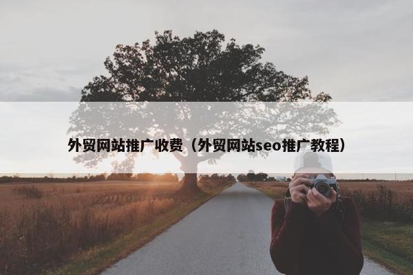 外贸网站推广收费（外贸网站seo推广教程）