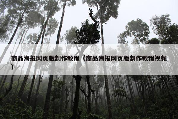 商品海报网页版制作教程（商品海报网页版制作教程视频）