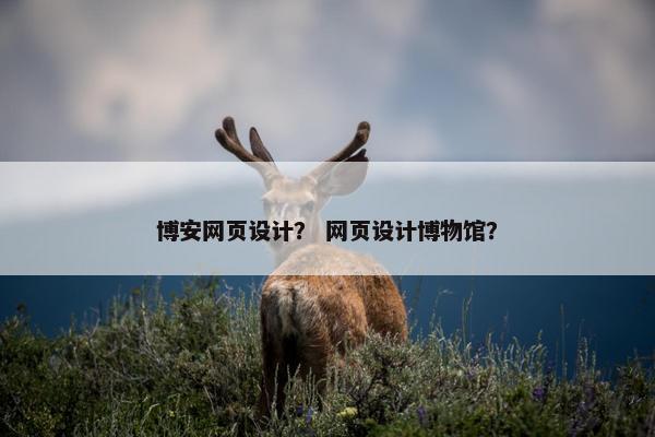 博安网页设计？ 网页设计博物馆？