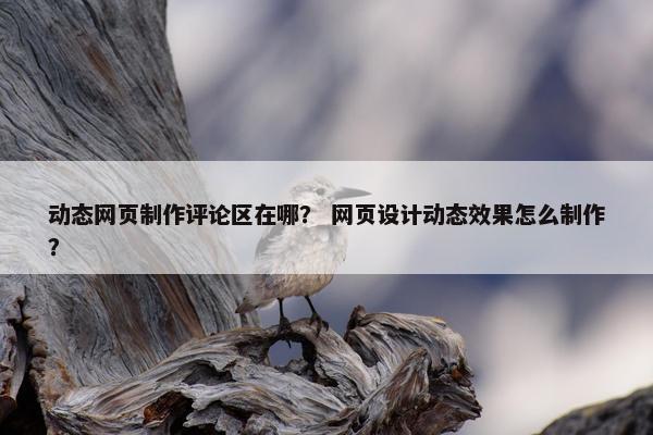 动态网页制作评论区在哪？ 网页设计动态效果怎么制作？
