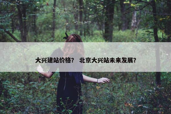 大兴建站价格？ 北京大兴站未来发展？