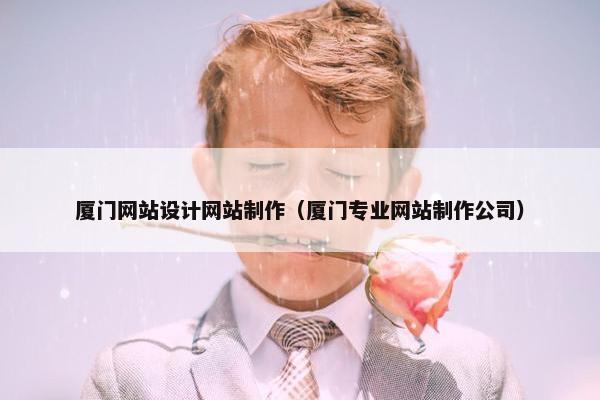 厦门网站设计网站制作（厦门专业网站制作公司）